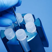 Photo of vials